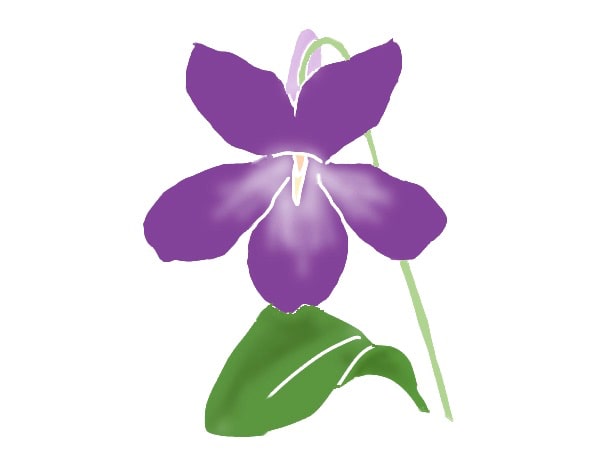 「紫の花」特集！季節ごとにおすすめの紫色の花とは？