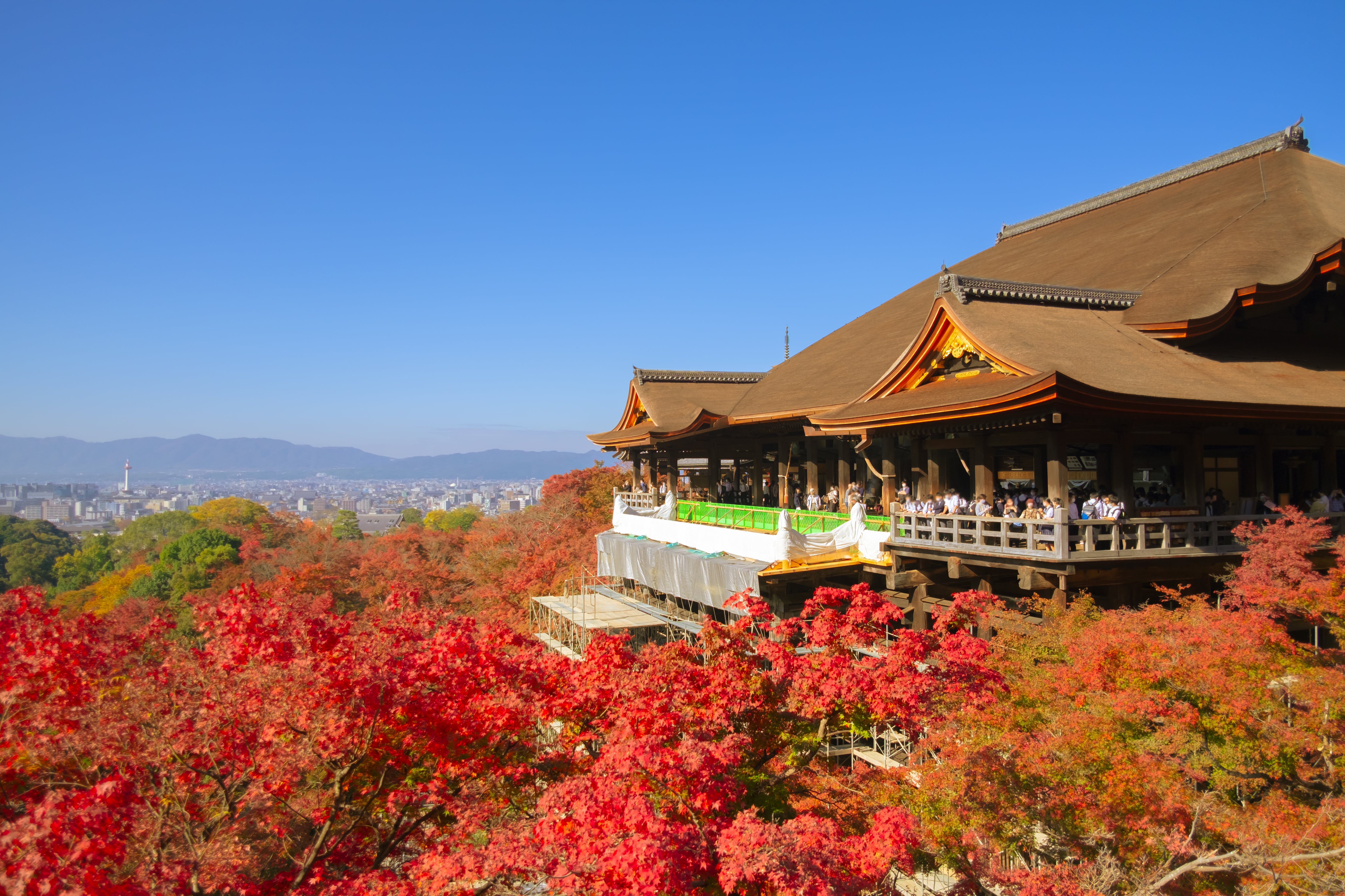 京都の旅行費用、カップルで行くなら全部でいくらなのかを徹底紹介